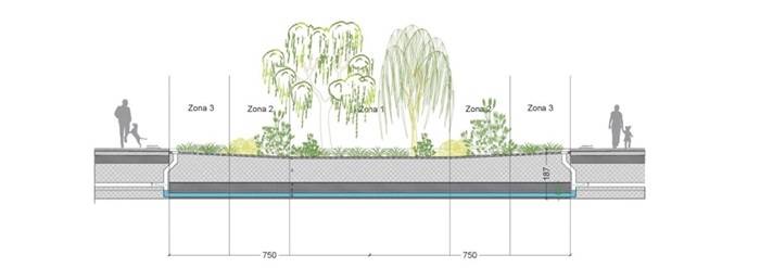 Sezione trasversale della piazza-giardino con suddivisione in zone verdi e sistema di gestione delle acque piovane.