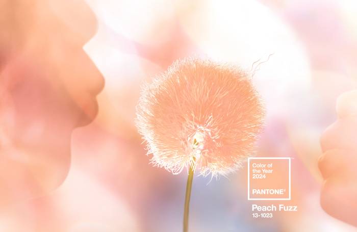 Color of the year 2024, Peach Fuzz Pantone 13-1023