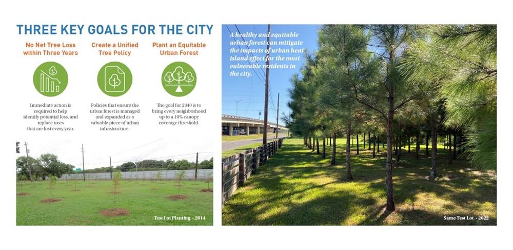Gli obiettivi quantitativi e sociali del piano di riforestazione di New Orleans fonte, New Orleans Reforestation Plan