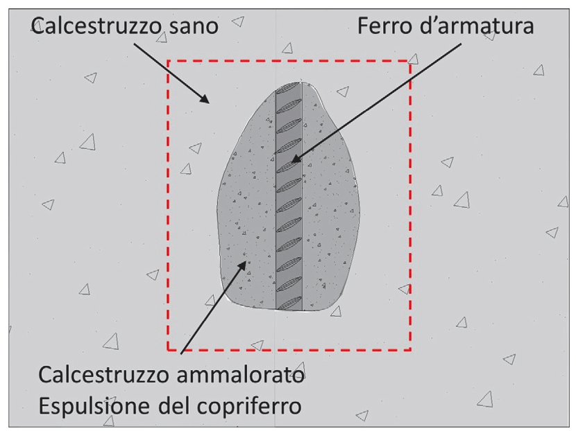 Figura 1 - Vista frontale di una porzione di calcestruzzo ammalorato che presenza espulsione del copriferro. L'area interna alla linea tratteggiata rappresenta l'area che andrà riquadrata e scarificata e corrisponde alla zona ove andrà effettuato il riporto della malta da ripristino