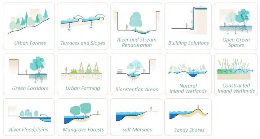 Figura 4: esempi di Nature Based Solutions (fonte: World Bank 2021)