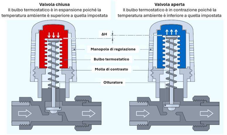 Sezioni di una valvola termostatica in modalità chiusa e aperta.