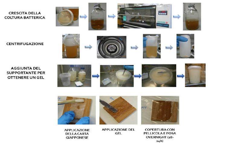 Biopulitura: il processo di produzione dei batteri e del micropack e l’applicazione su un provino di laboratorio