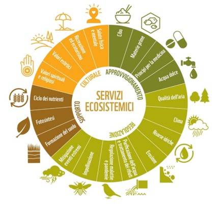 Figura 2: Quattro categorie di Servizi Ecosistemici (fonte: Fondazione Michelagnoli)